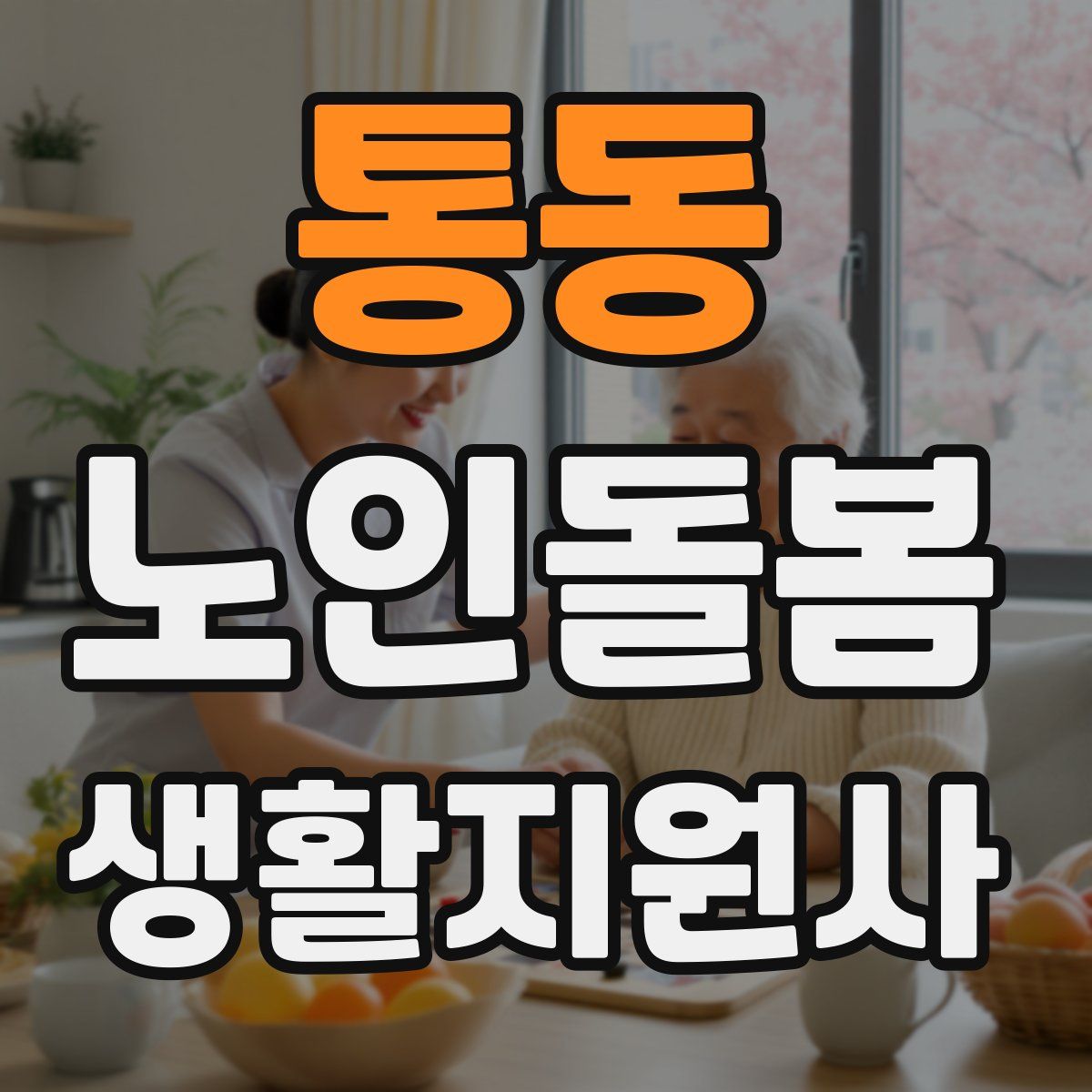 통동 노인돌봄생활지원사 자격증
