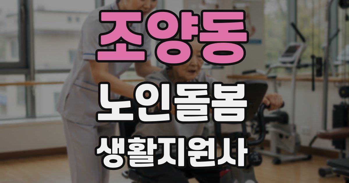 조양동 노인돌봄생활지원사 자격증