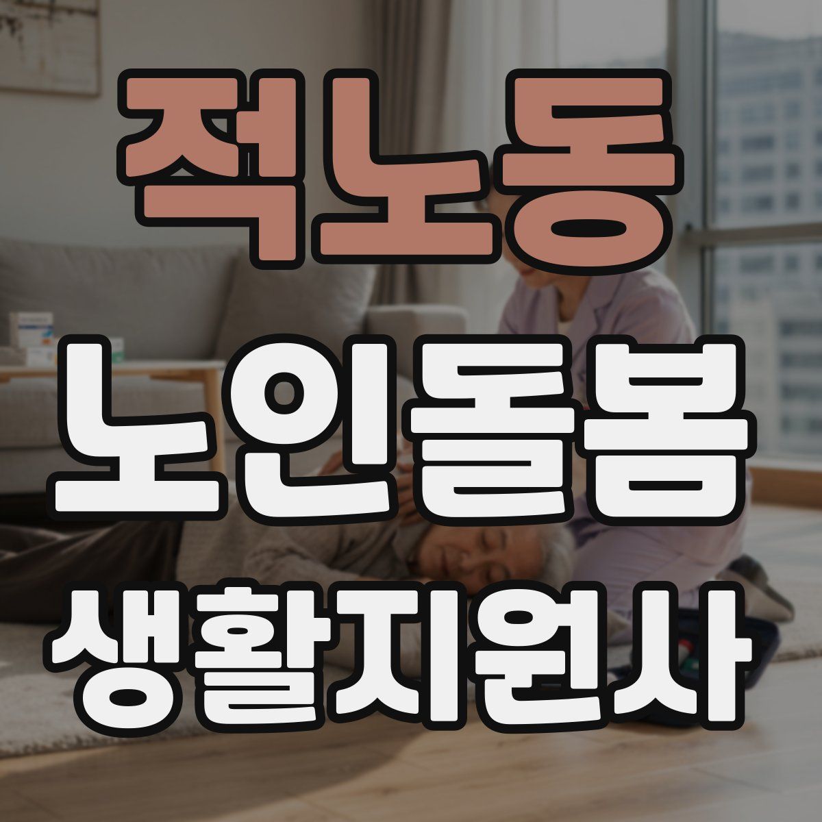 적노동 노인돌봄생활지원사 자격증