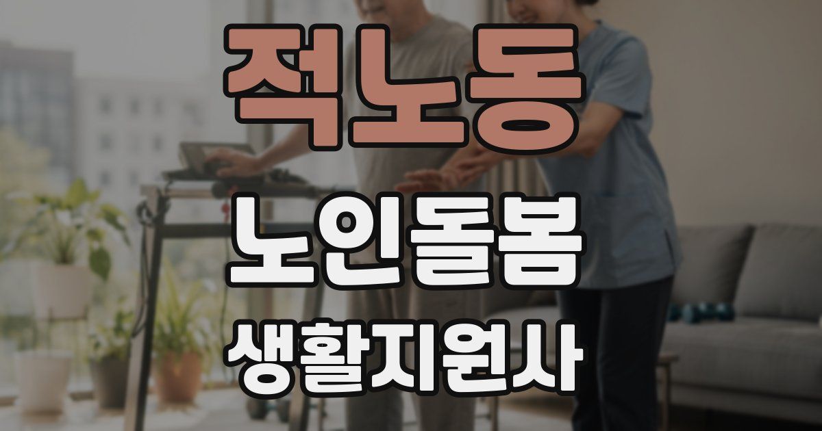 적노동 노인돌봄생활지원사 자격증