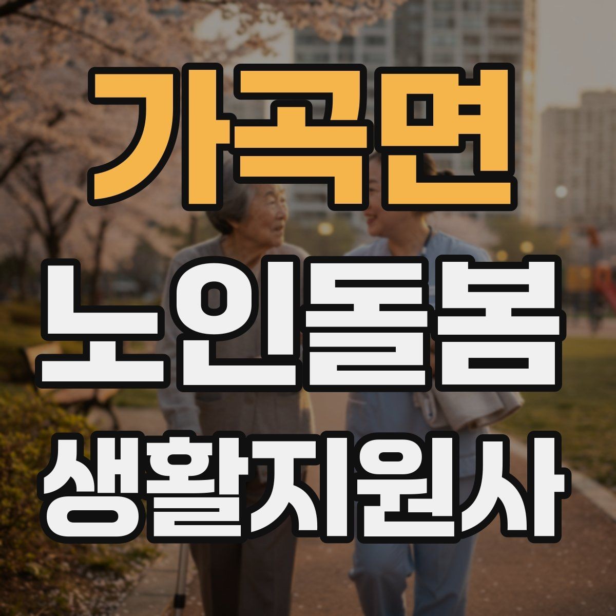 가곡면 노인돌봄생활지원사 자격증 상처 멍 출혈 발생 시 초기 대응