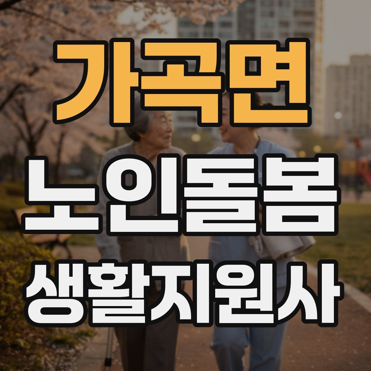 가곡면 노인돌봄생활지원사 자격증