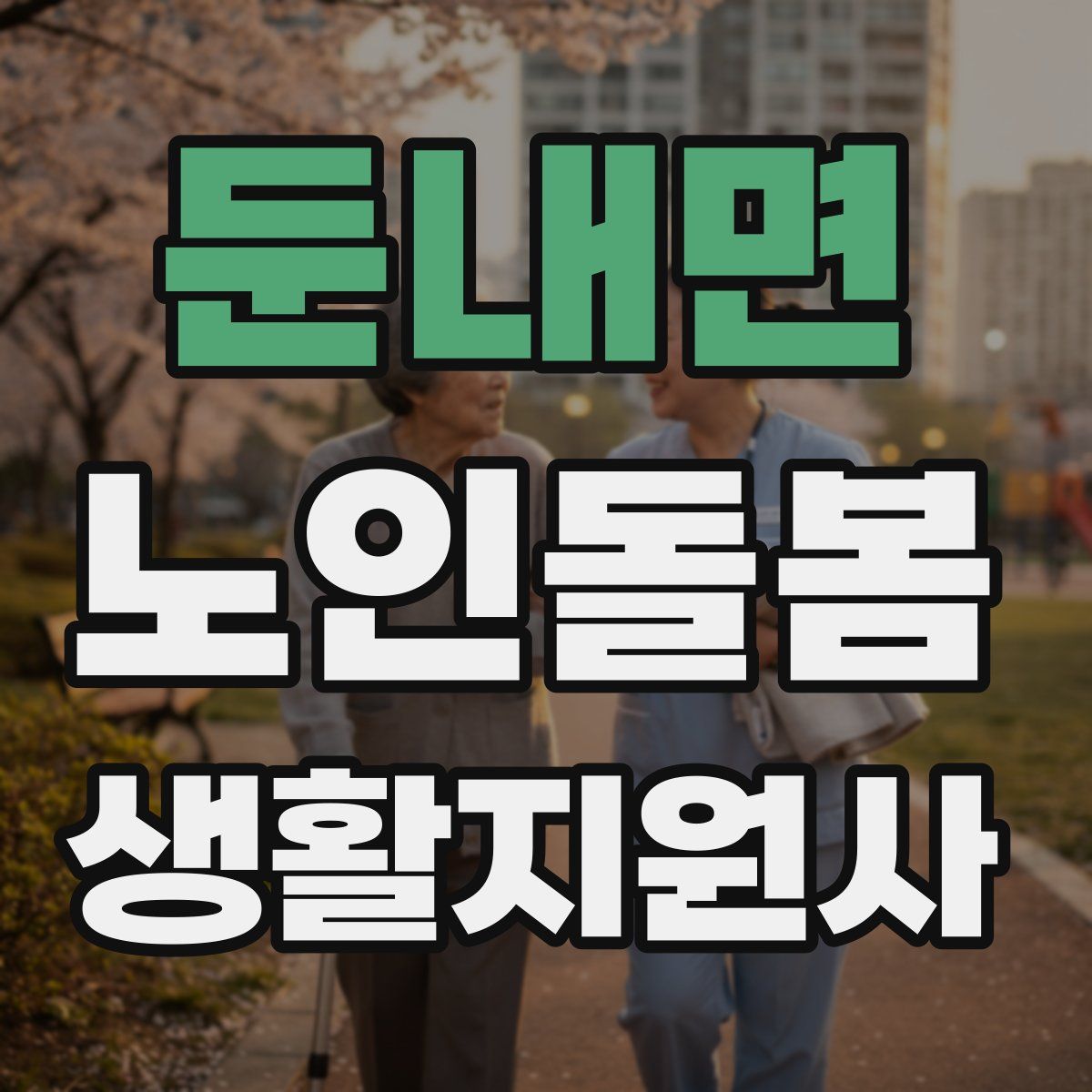 둔내면 노인돌봄생활지원사 자격증