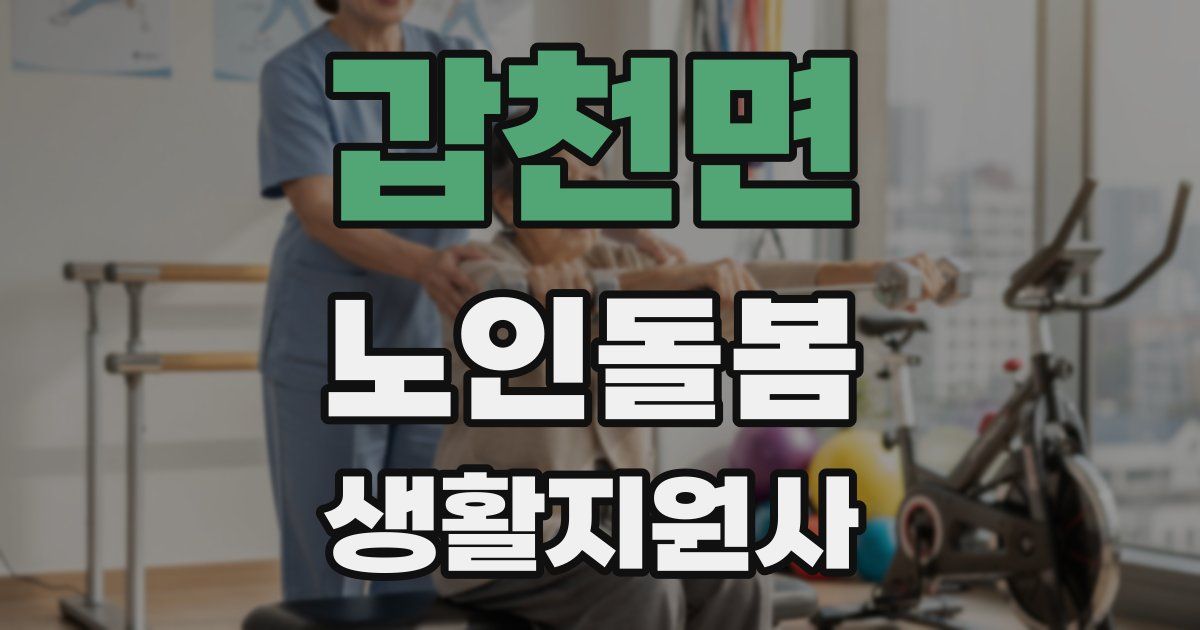 갑천면 노인돌봄생활지원사 자격증