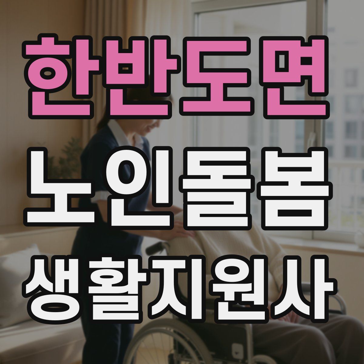 한반도면 노인돌봄생활지원사 자격증