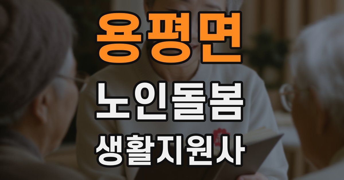 용평면 노인돌봄생활지원사 자격증