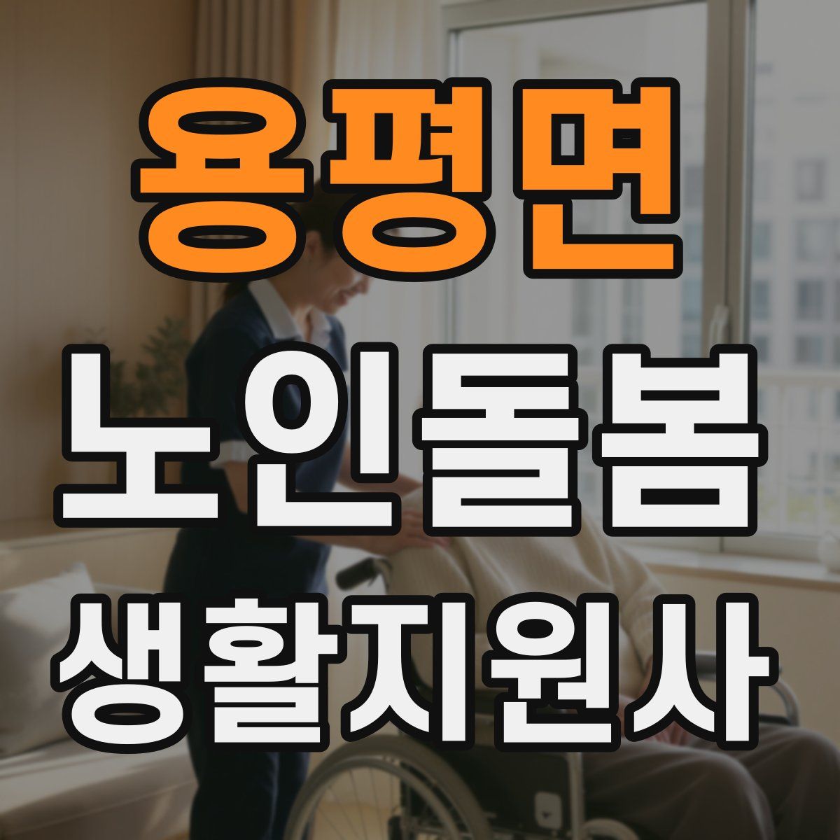 용평면 노인돌봄생활지원사 자격증