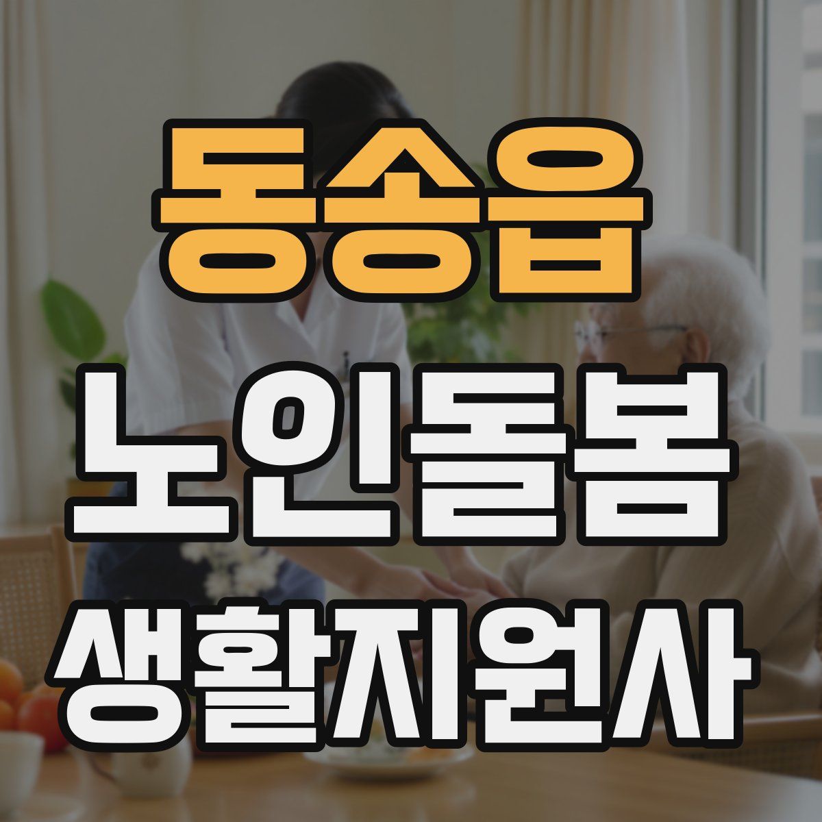동송읍 노인돌봄생활지원사 자격증