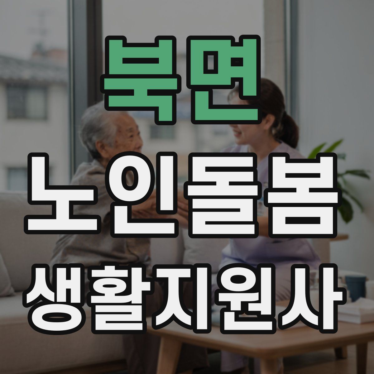 북면 노인돌봄생활지원사 자격증