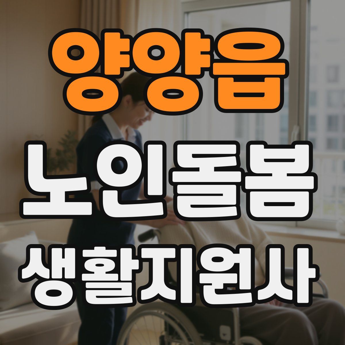 양양읍 노인돌봄생활지원사 자격증