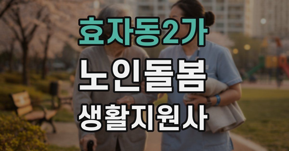 효자동2가 노인돌봄생활지원사 자격증