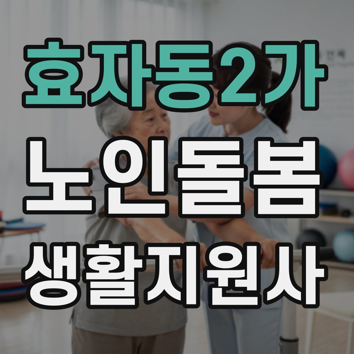 효자동2가 노인돌봄생활지원사 자격증