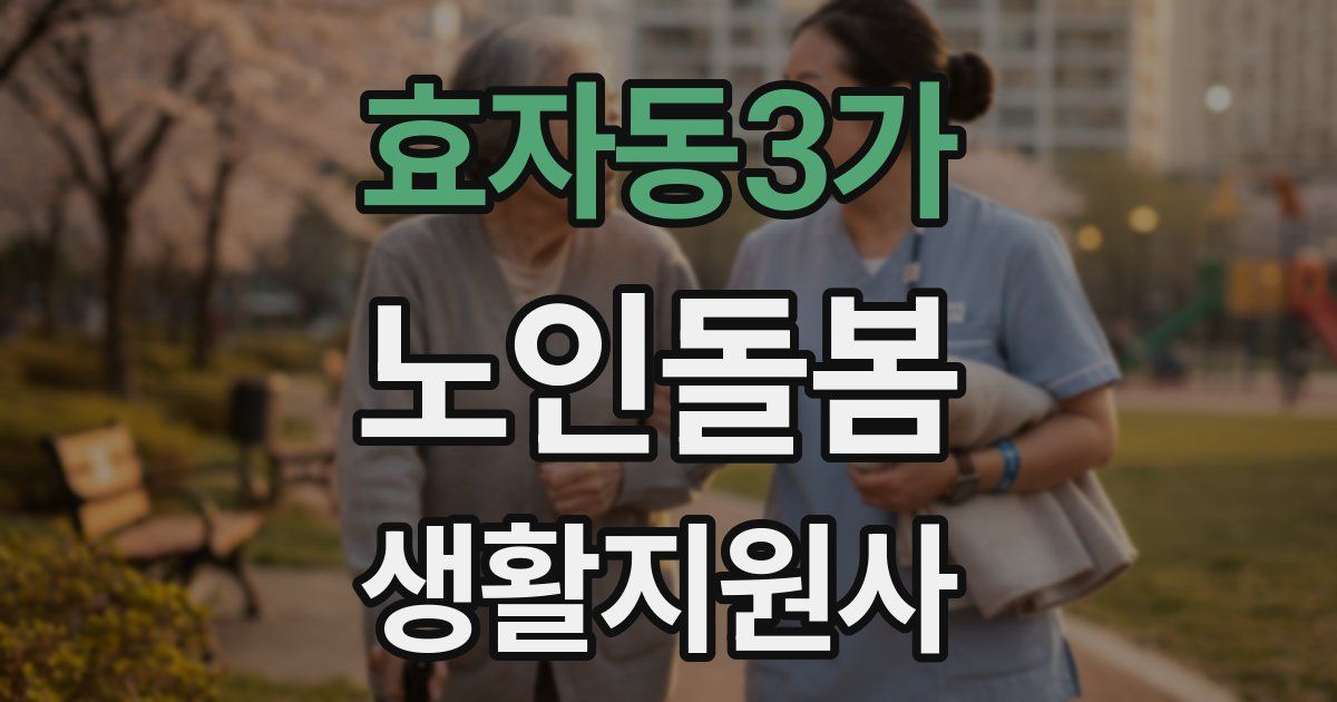 효자동3가 노인돌봄생활지원사 자격증