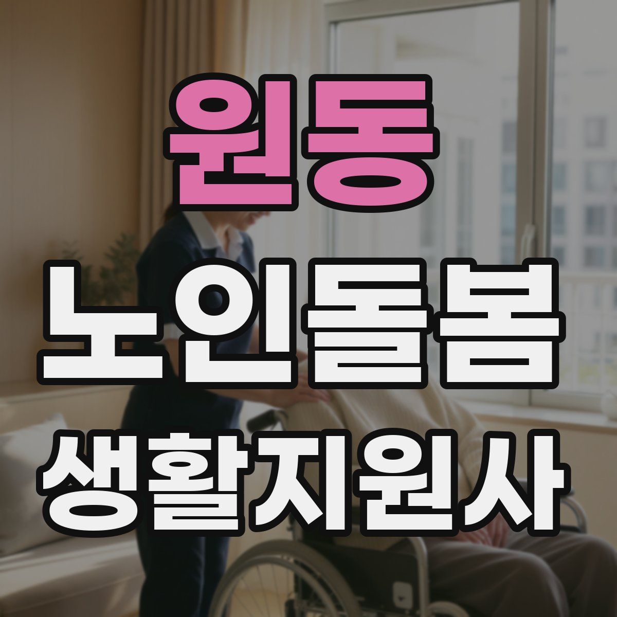 원동 노인돌봄생활지원사 자격증