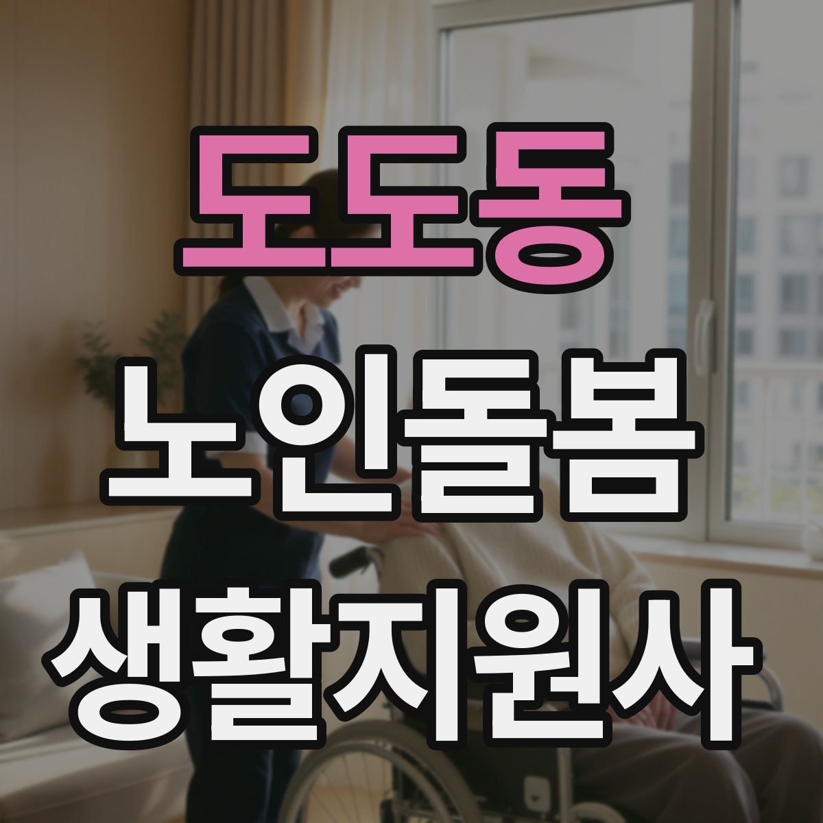 도도동 노인돌봄생활지원사 자격증