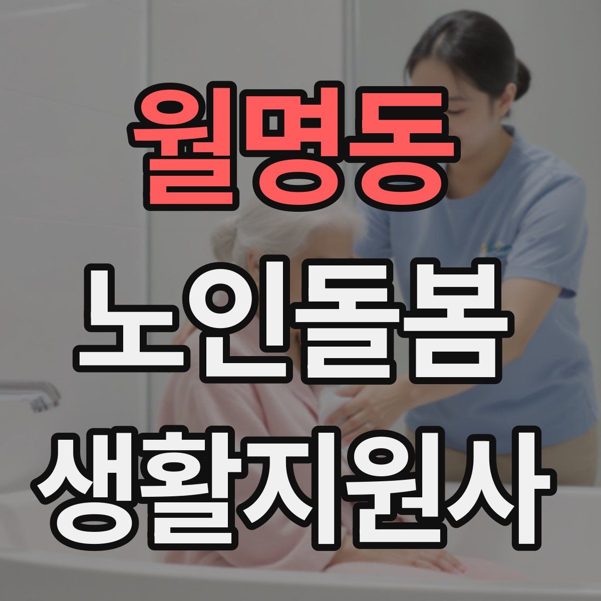 월명동 노인돌봄생활지원사 자격증