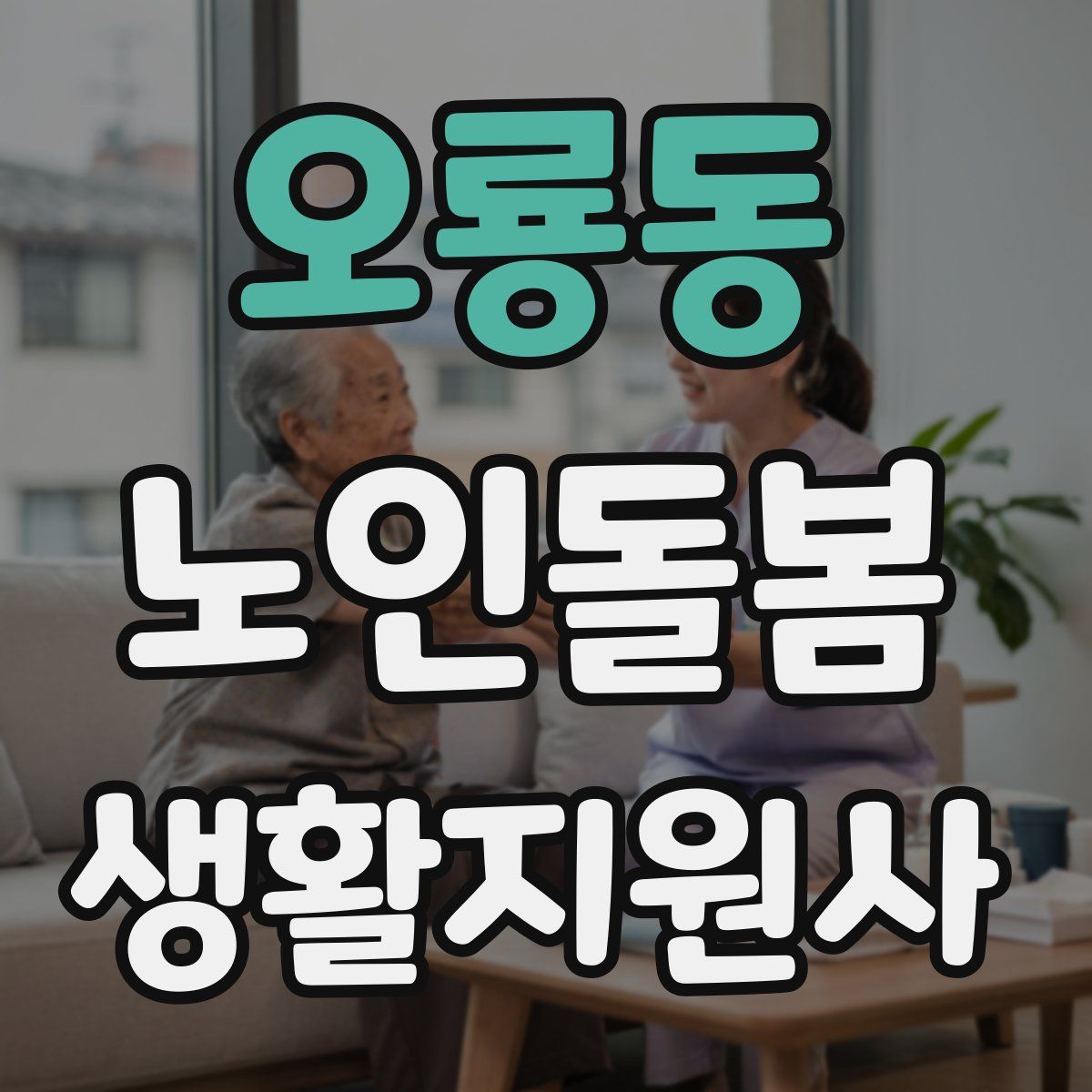 오룡동 노인돌봄생활지원사 자격증