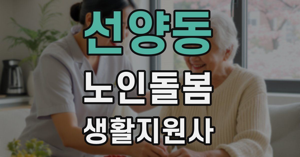선양동 노인돌봄생활지원사 자격증