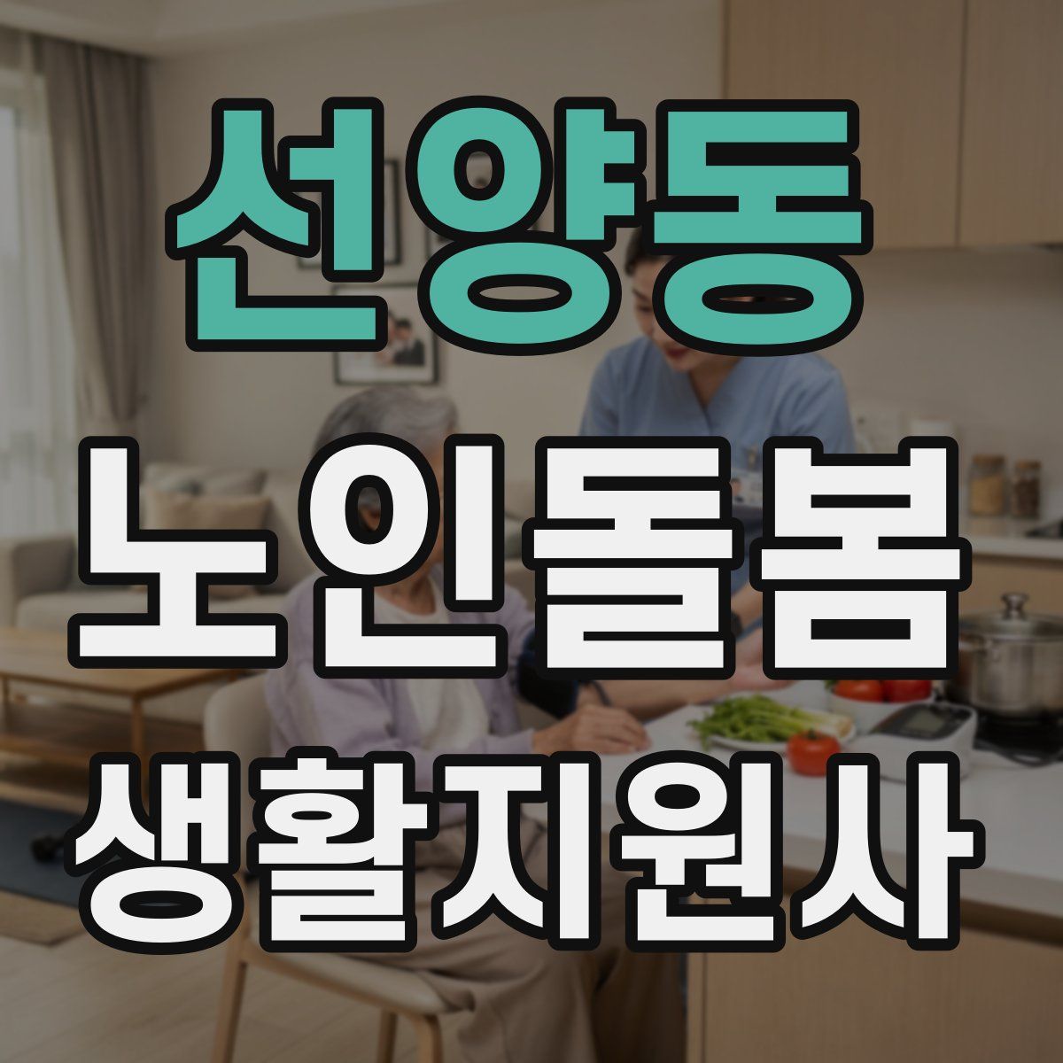 선양동 노인돌봄생활지원사 자격증