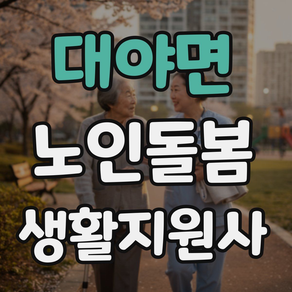 대야면 노인돌봄생활지원사 자격증
