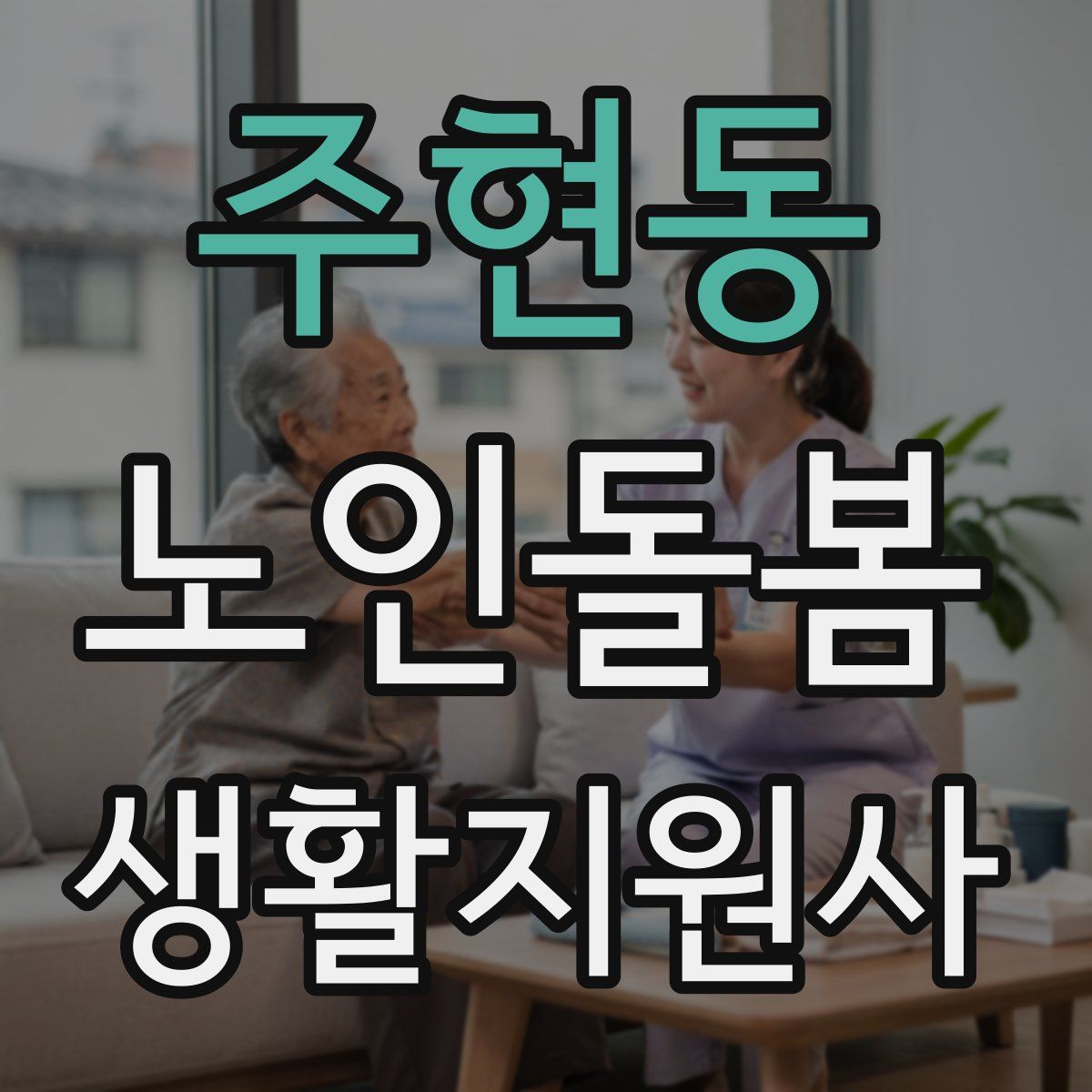 주현동 노인돌봄생활지원사 자격증