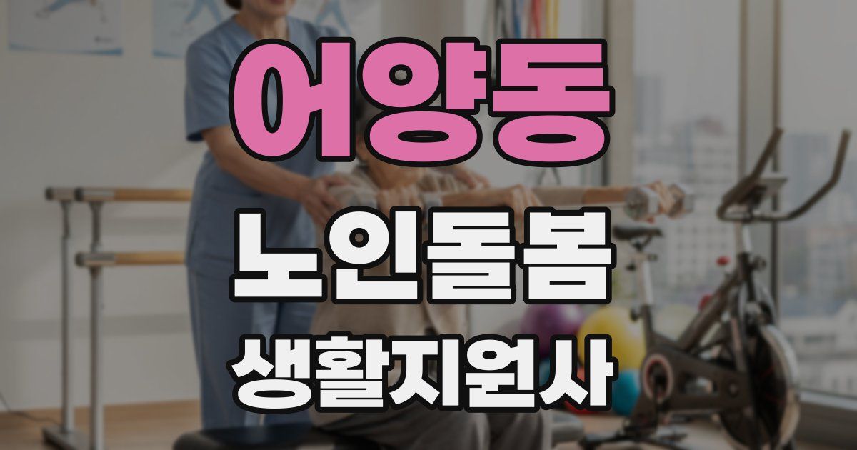 어양동 노인돌봄생활지원사 자격증