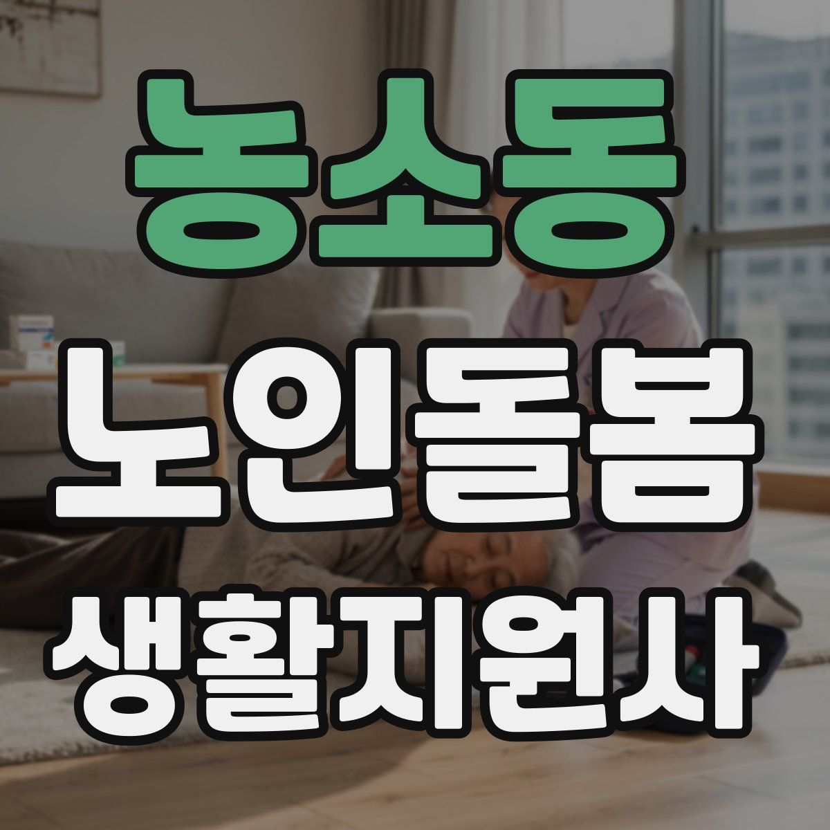 농소동 노인돌봄생활지원사 자격증