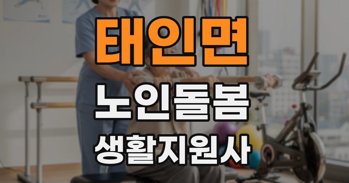 태인면 노인돌봄생활지원사 자격증