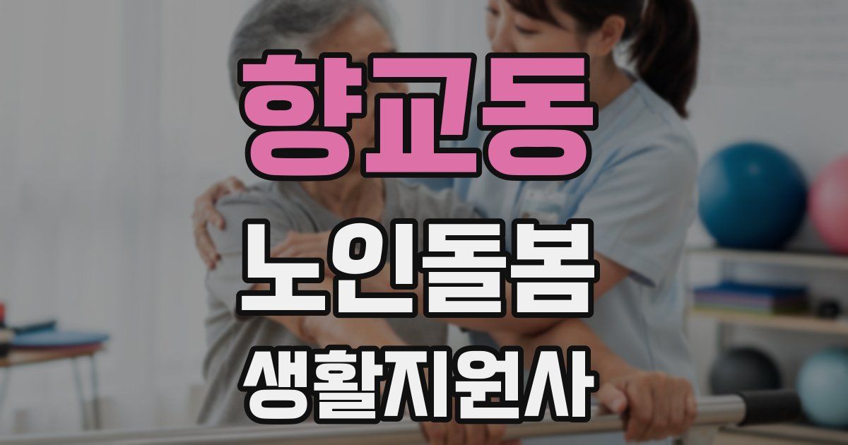 향교동 노인돌봄생활지원사 자격증