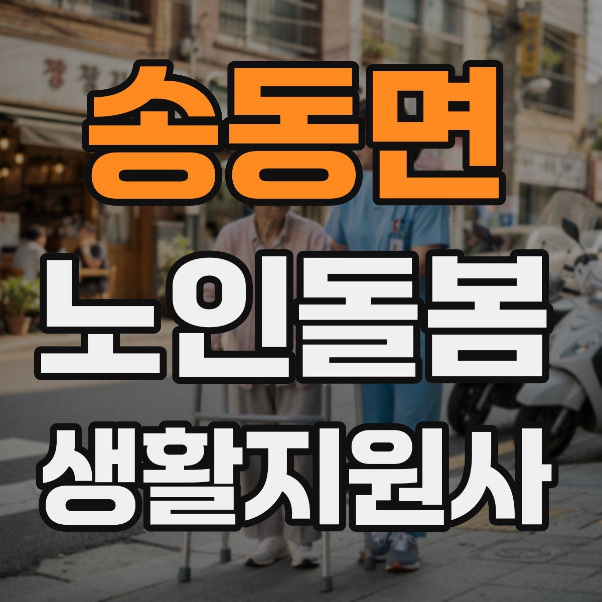 송동면 노인돌봄생활지원사 자격증