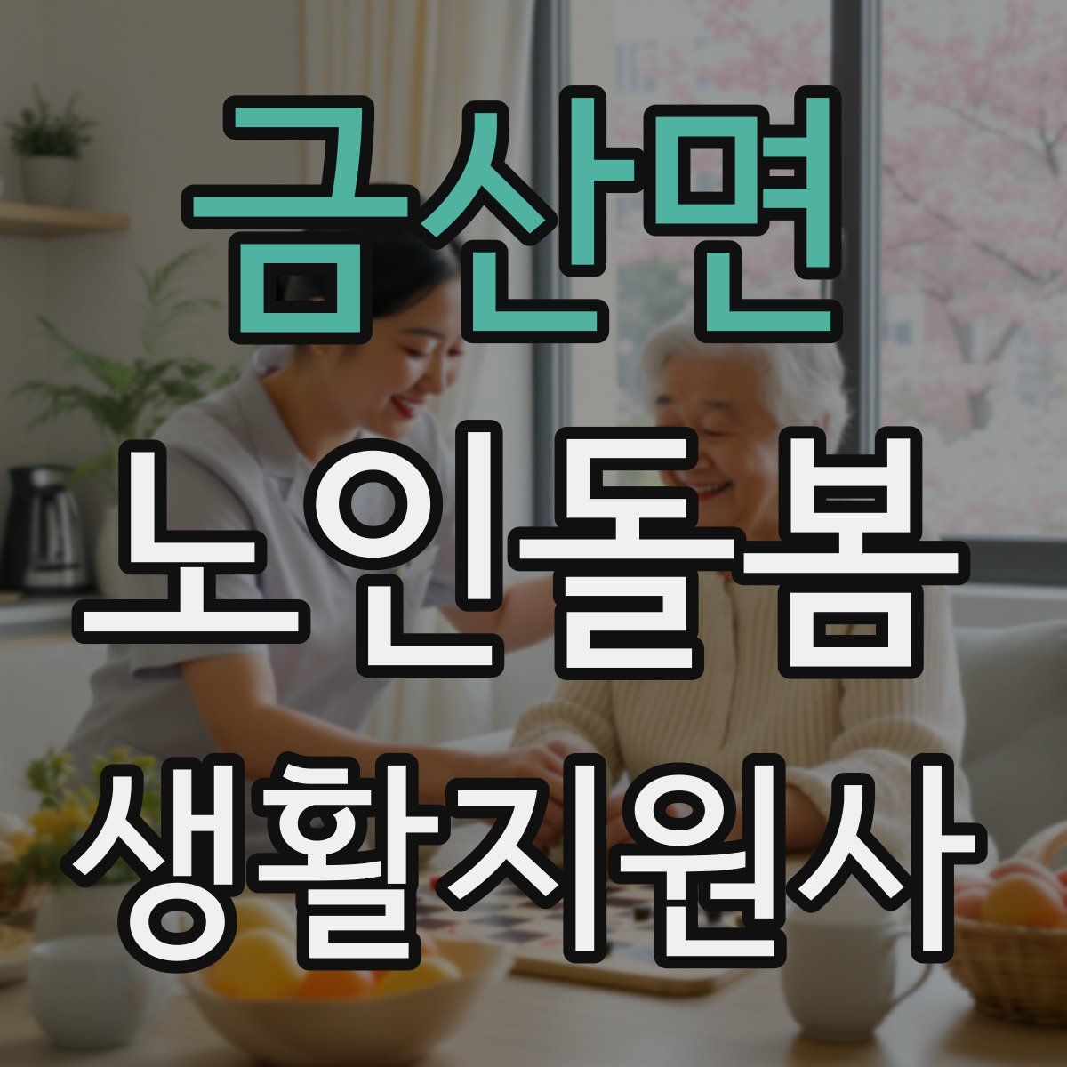 금산면 노인돌봄생활지원사 자격증