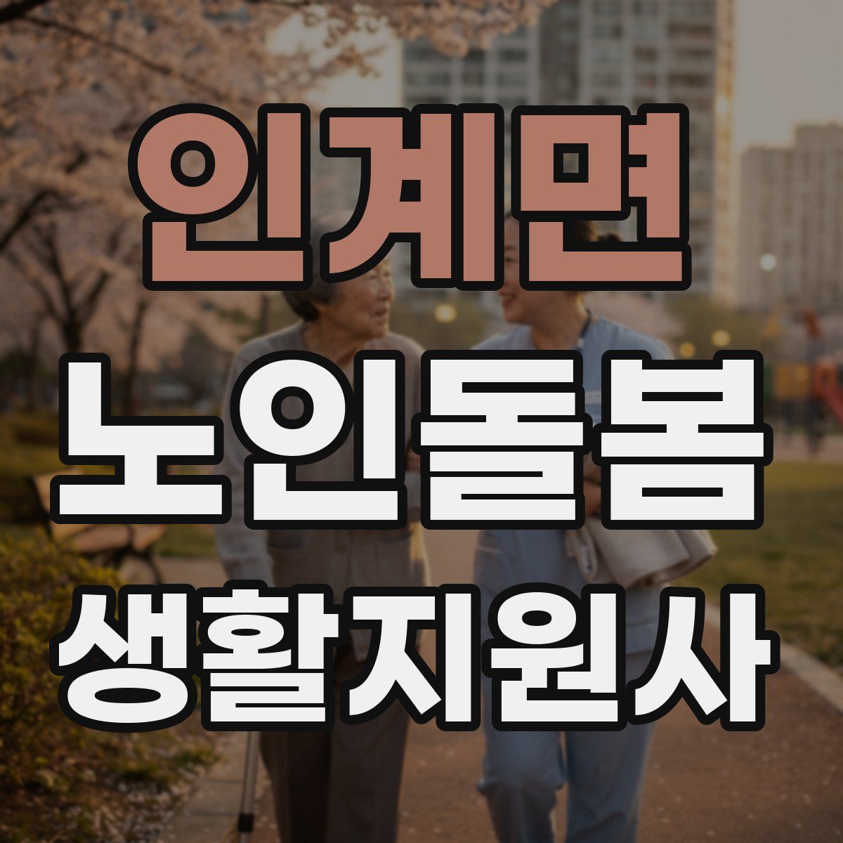 인계면 노인돌봄생활지원사 자격증