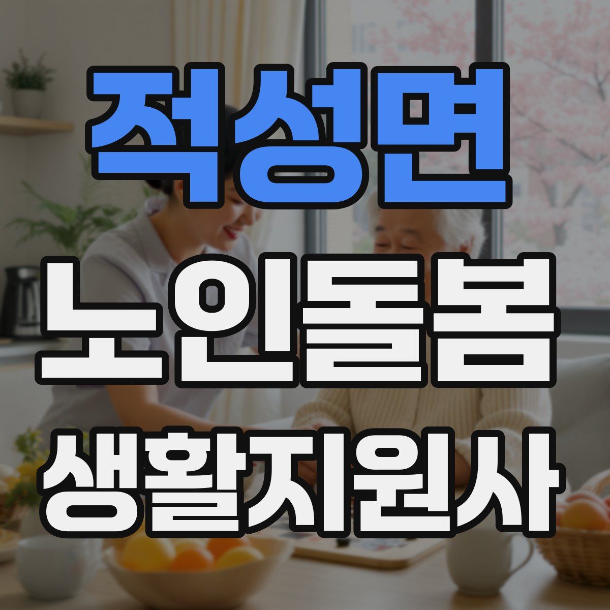 적성면 노인돌봄생활지원사 자격증
