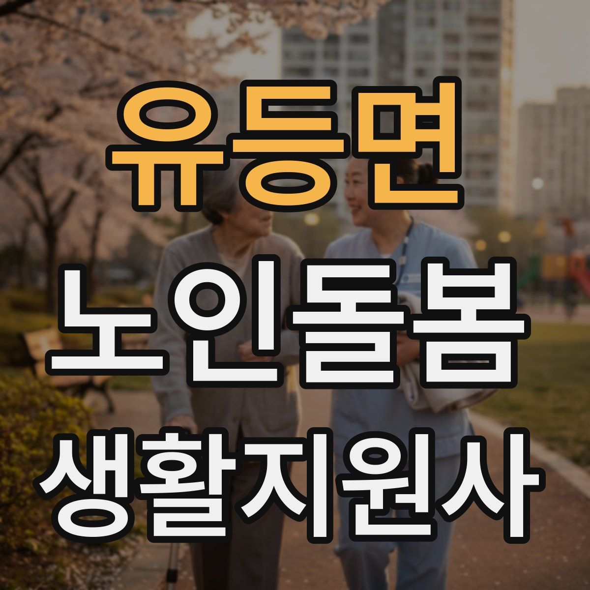 유등면 노인돌봄생활지원사 자격증