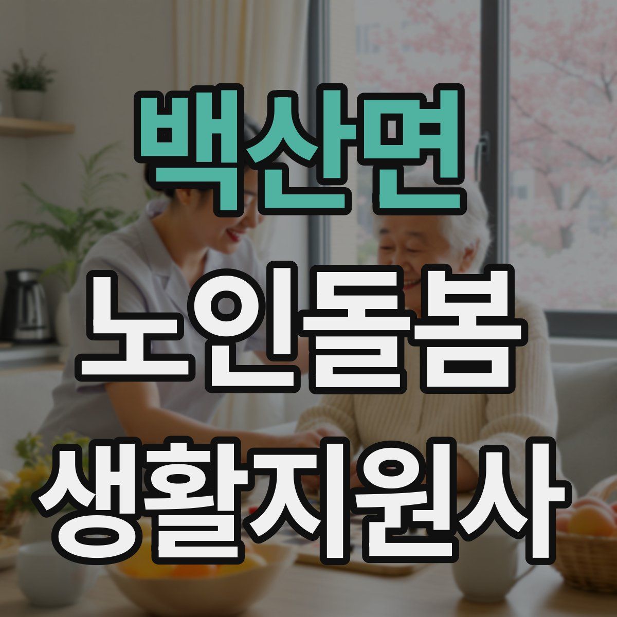 백산면 노인돌봄생활지원사 자격증