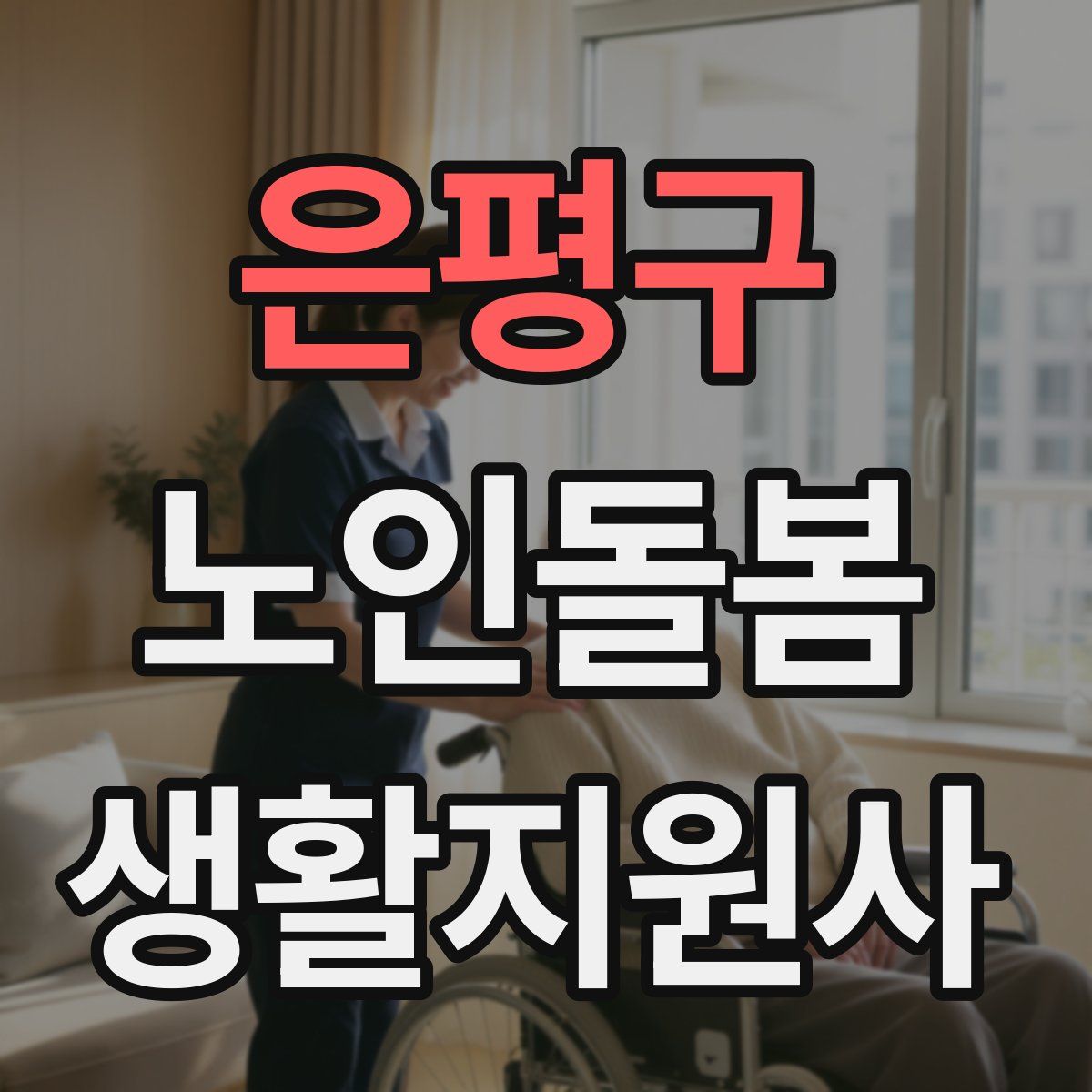 은평구 노인돌봄생활지원사 자격증