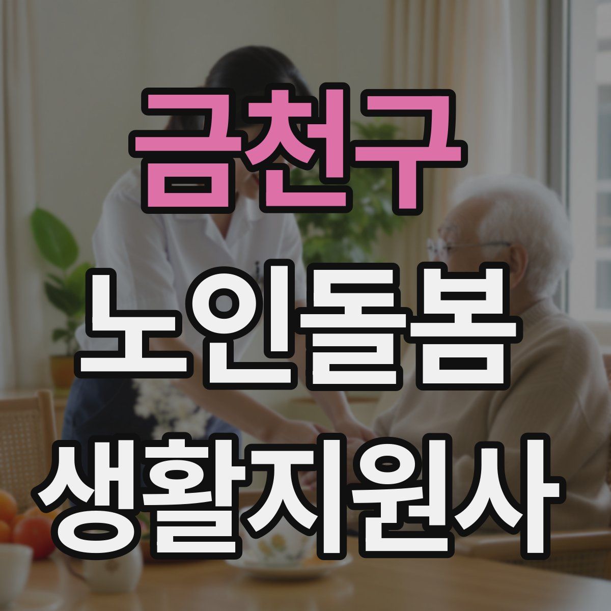 금천구 노인돌봄생활지원사 자격증