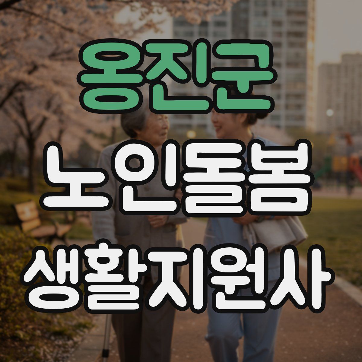 옹진군 노인돌봄생활지원사 자격증