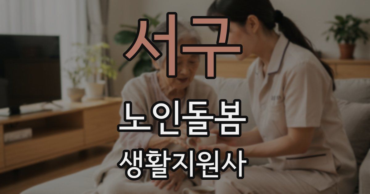 서구 노인돌봄생활지원사 자격증