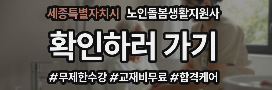 세종특별자치시 노인돌봄생활지원사 자격증