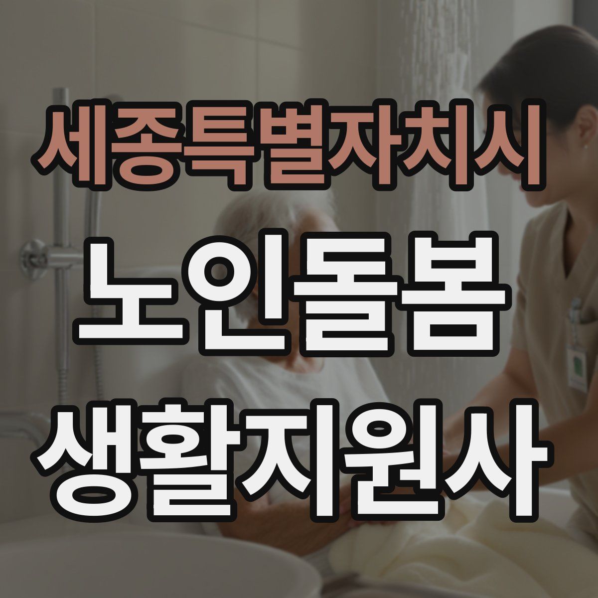 세종특별자치시 노인돌봄생활지원사 자격증