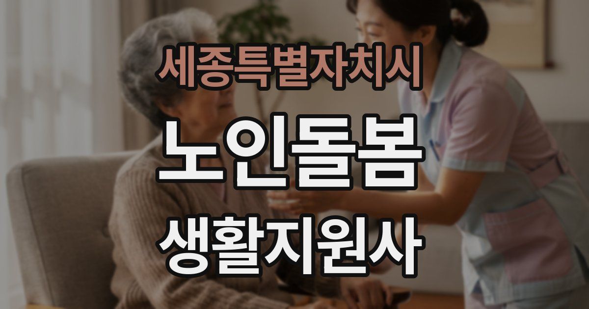 세종특별자치시 노인돌봄생활지원사 자격증