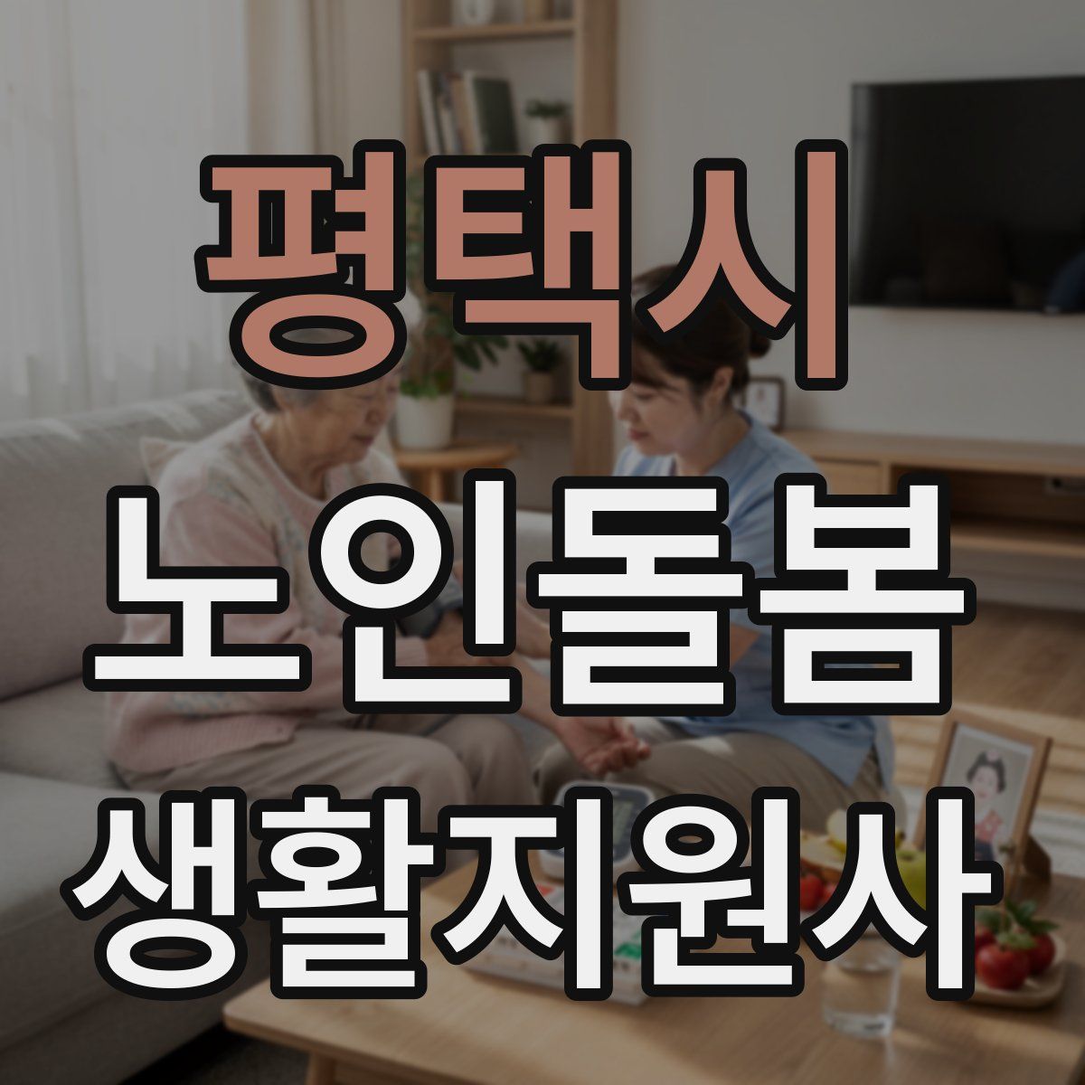 평택시 노인돌봄생활지원사 자격증