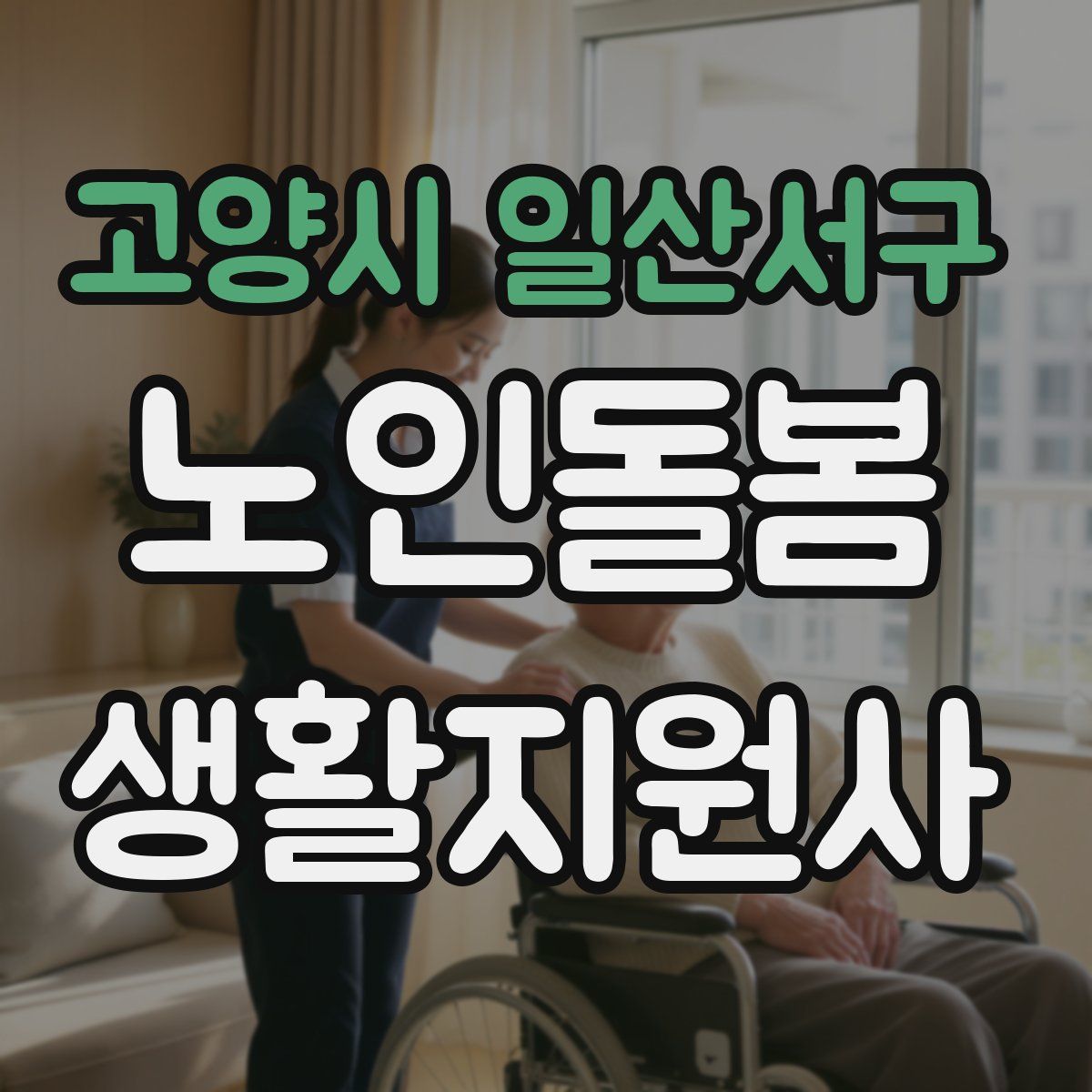 고양시 일산서구 노인돌봄생활지원사 자격증