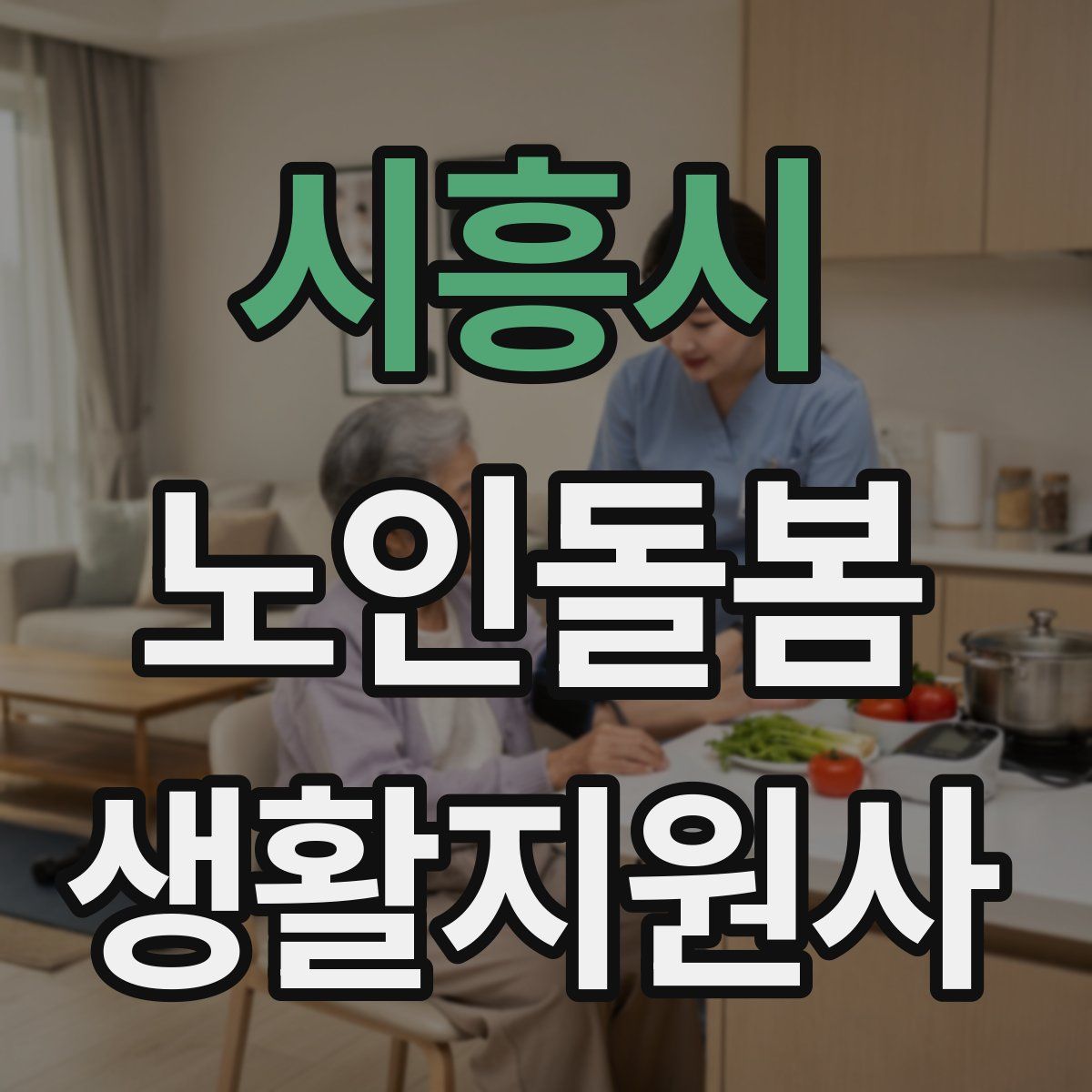 시흥시 노인돌봄생활지원사 자격증