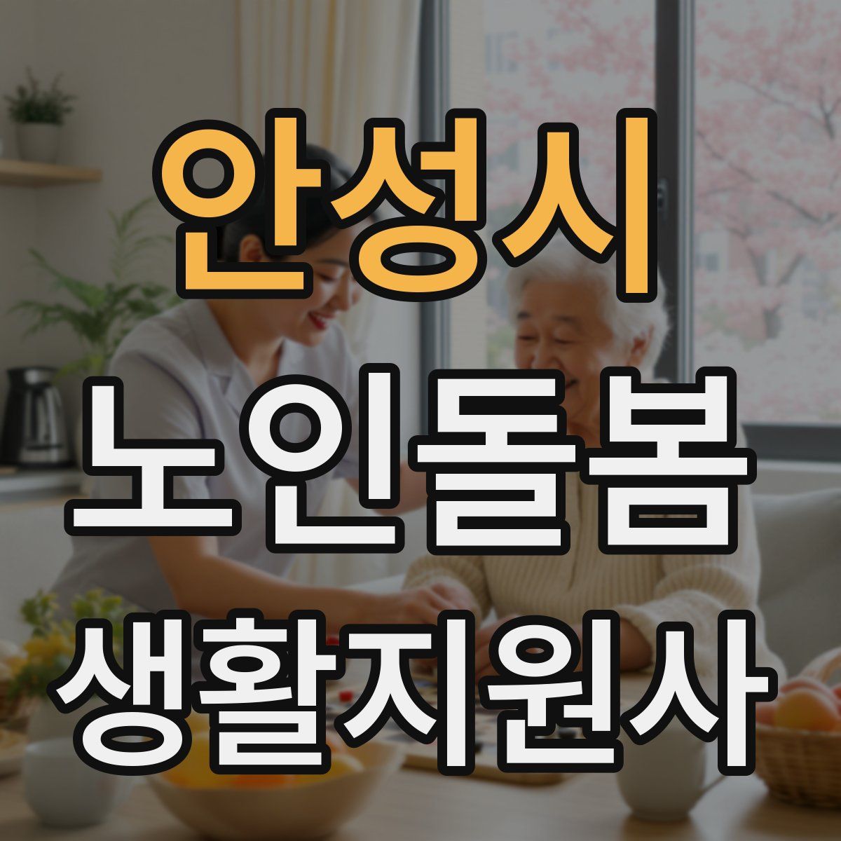 안성시 노인돌봄생활지원사 자격증