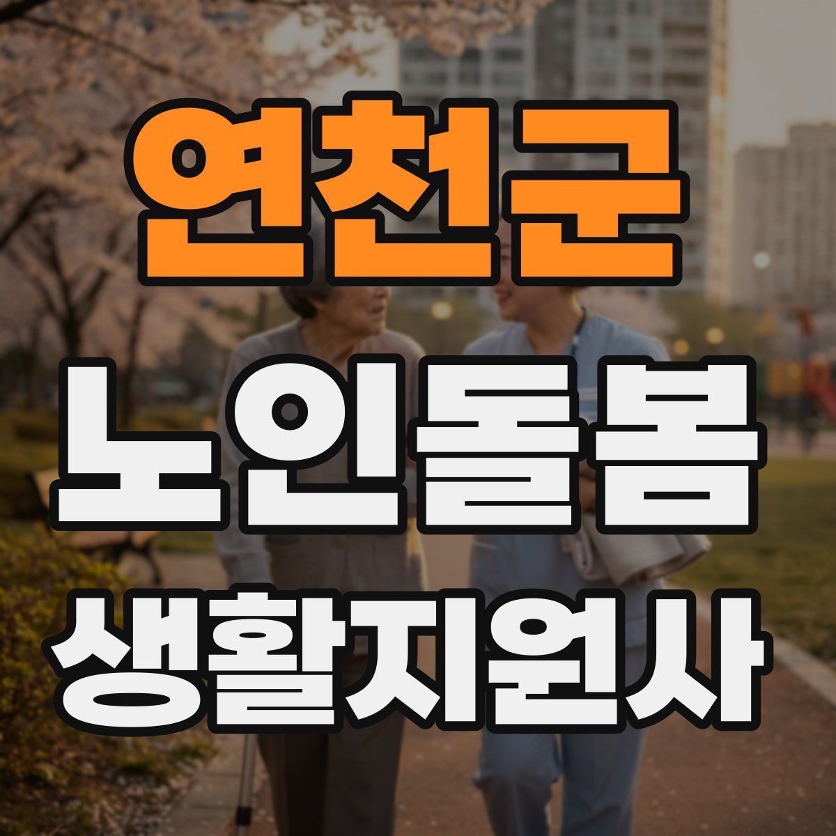 연천군 노인돌봄생활지원사 자격증