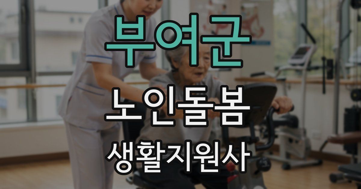 부여군 노인돌봄생활지원사 자격증