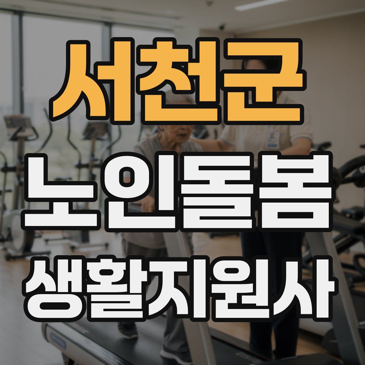 서천군 노인돌봄생활지원사 자격증