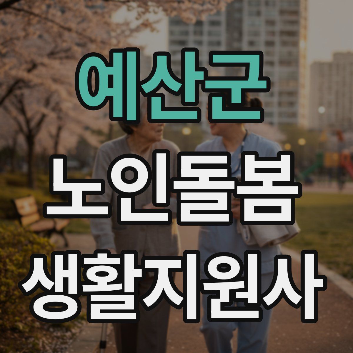 예산군 노인돌봄생활지원사 자격증